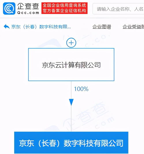 基礎(chǔ)軟件服務(wù) 數(shù)字化時(shí)代的基石與創(chuàng)新引擎