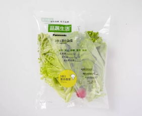 蘇州松下新植物工廠蔬菜正式出貨，科技農(nóng)業(yè)開啟綠色新篇章