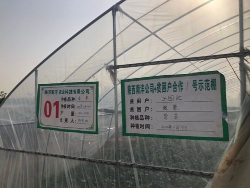 三方協(xié)同加碼，以技術(shù)轉(zhuǎn)讓與咨詢助推脫貧攻堅
