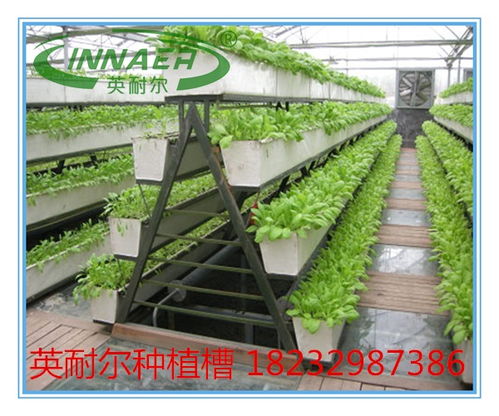 新型草莓種植槽與番茄基質槽 蔬菜專用槽的價格、圖片與批發指南