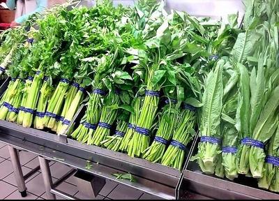 清遠蔬菜種植基地 打造高品質農產品蔬菜配送新標桿
